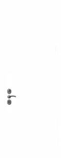 Яг-24